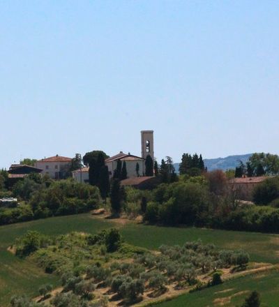 Colline di Orciano Pisano