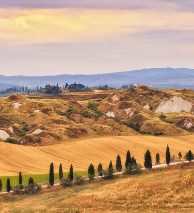 Crete senesi