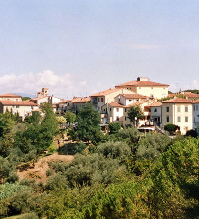 Fauglia