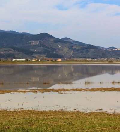 Il lago di Bientina