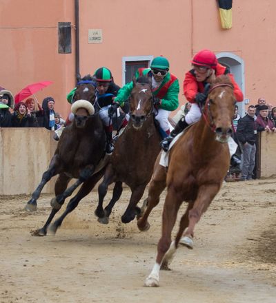 Il Palio di Buti