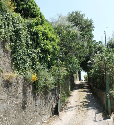 montalcino