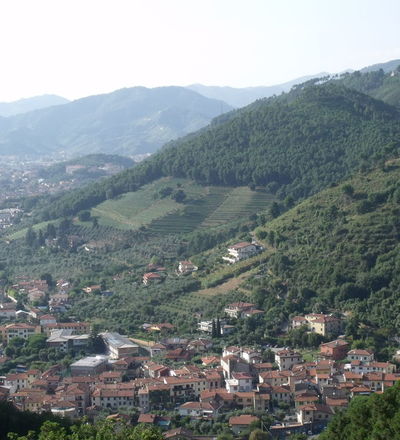 Montignoso Panorama