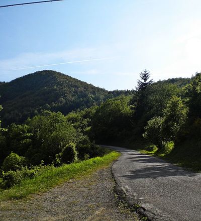 Strada in direzione di Gavigno