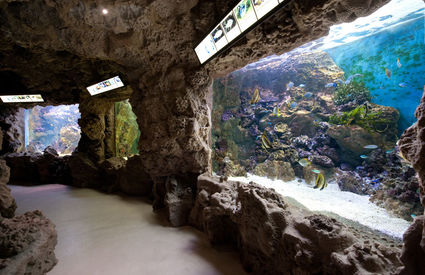 Acquario di Livorno