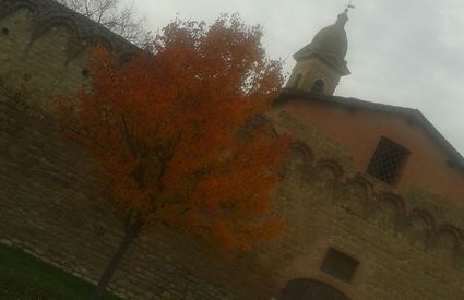 Bruma autunnale