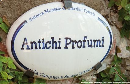 Buggiano, giardini di agrumi