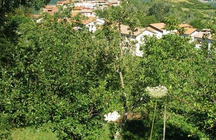 Careggine paese Garfagnana