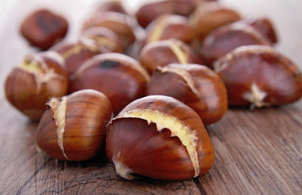 Castagne di Caprese Michelangelo