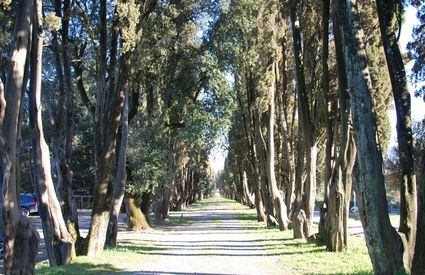 Castello di Villanova, viale