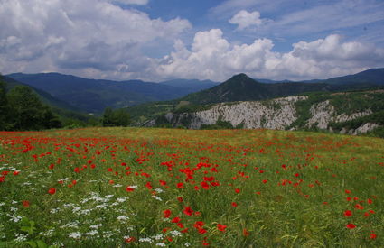 Chiusi della Verna