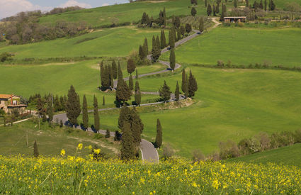 Colline Pienza