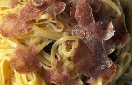 Fettuccine tartufo San Miniato