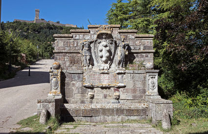 Fontana Medicea, Radicofani