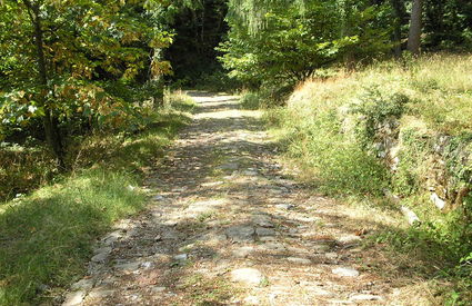 Gaiole in Chianti