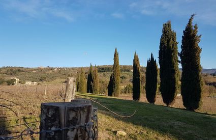 Il Colle di San Fabiano, Arezzo