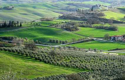 La campagna di Rapolano Terme