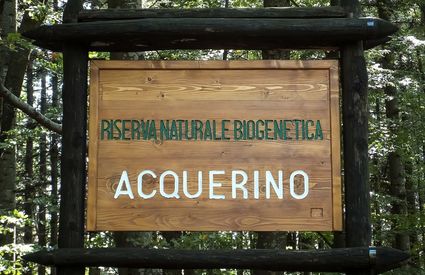 La Riserva di Acquerino a Cantagall