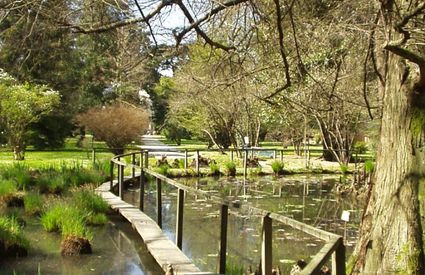 Lucca, Orto botanico