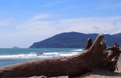 Marina di Carrara