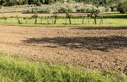 Paesaggio a Pergine Valdarno