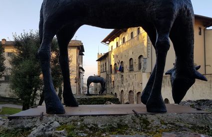 Palazzo Pretorio, Arezzo