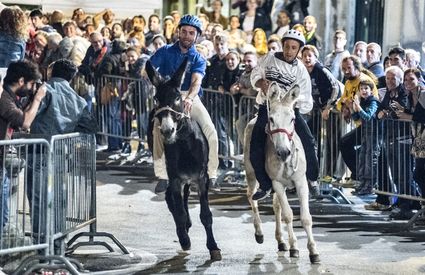 Palio dei ciuchi