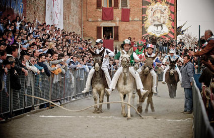 Palio dei Somari, Torrita di Siena