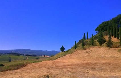 Panorama di Lajatico