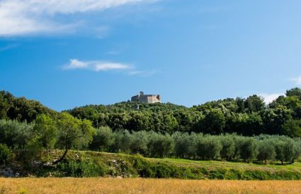 Panorama verso la Rocca Sillana Pomarance