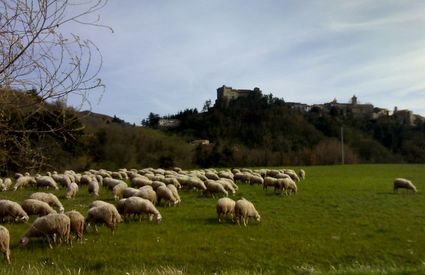 Primavera a Fosdinovo