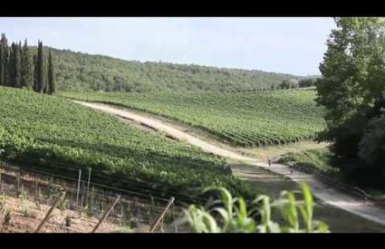 "Slow Mood" VIDEO-DOCUMENTARIO Greve in Chianti