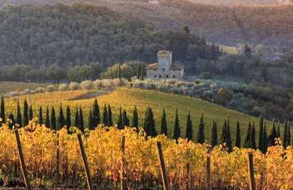 Radda in Chianti, campagna