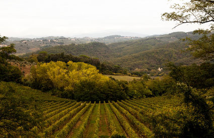 San Casciano in Val di Pesa