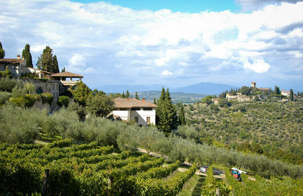 Scandicci, colline