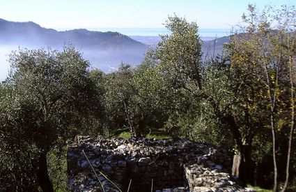 Scavi di Montecastrese 