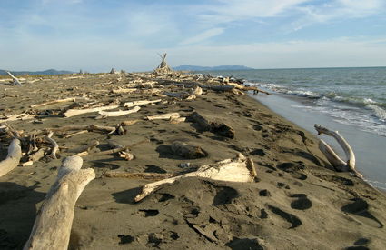 Spiaggia dei Capanni