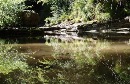 torrente Acquacheta