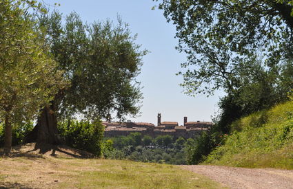 Torrita di Siena