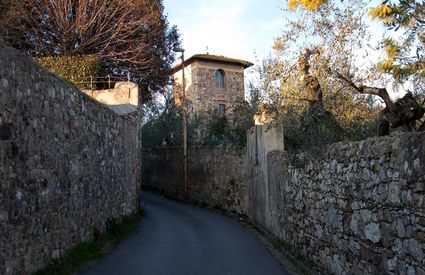 Via Bortolotti, Sesto Fiorentino