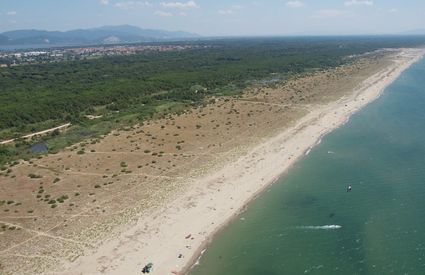 Viareggio Darsena Lecciona