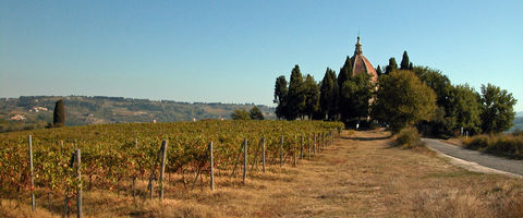 Barberino Val d'Elsa