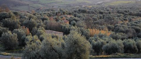 Fibbianello