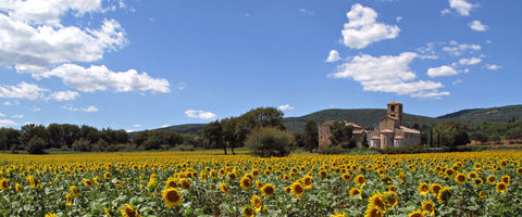 Ponte allo Spino