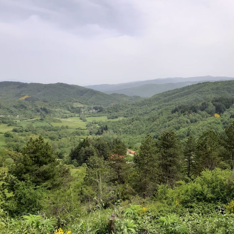 Casentino view
