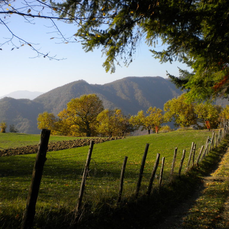 La strada di casa Palazzuolo sul Senio