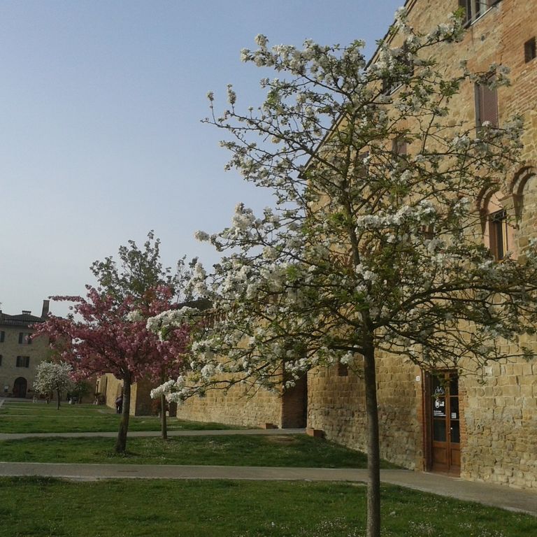 Buonconvento