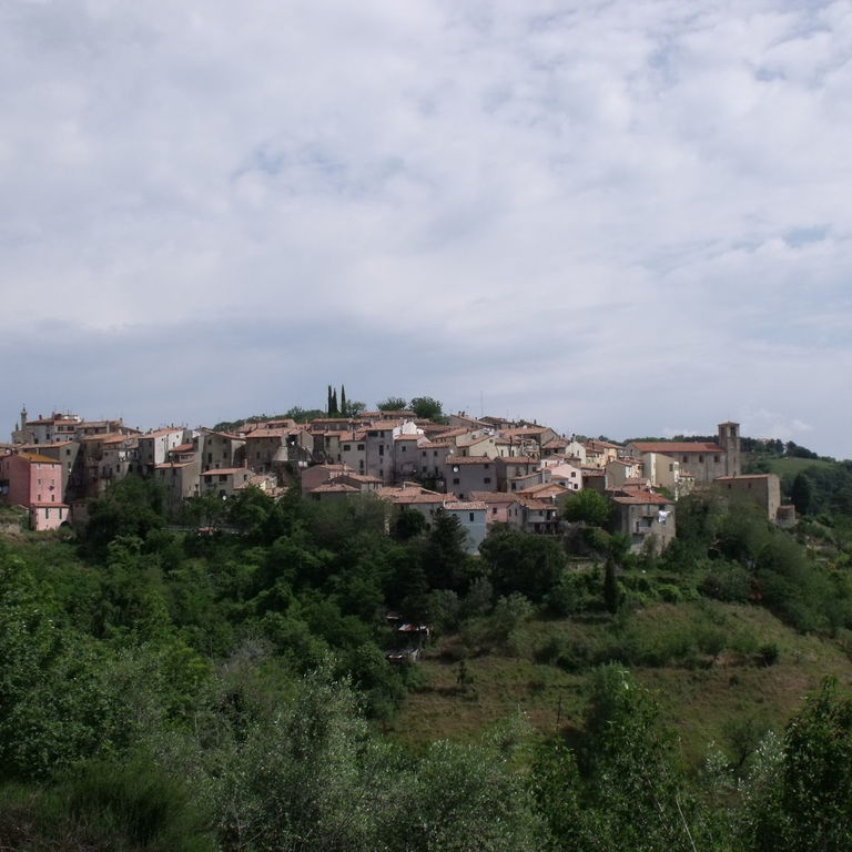 Panorama di Scansano