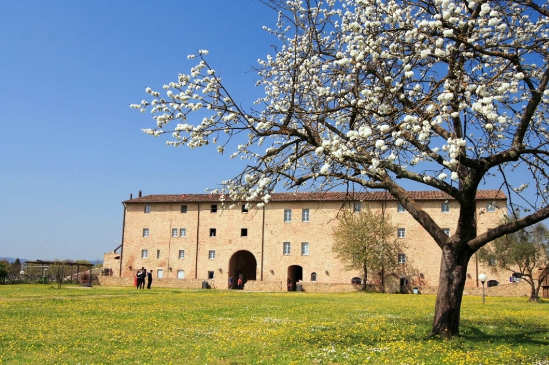 Poggibonsi - Un viaggio nel tempo di Carlo Magno