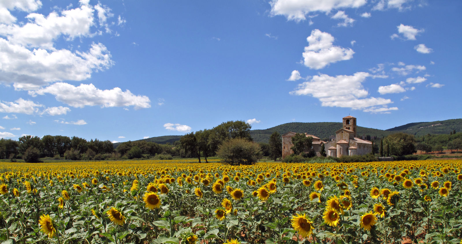 Sovicille - Il Ponte della Pia